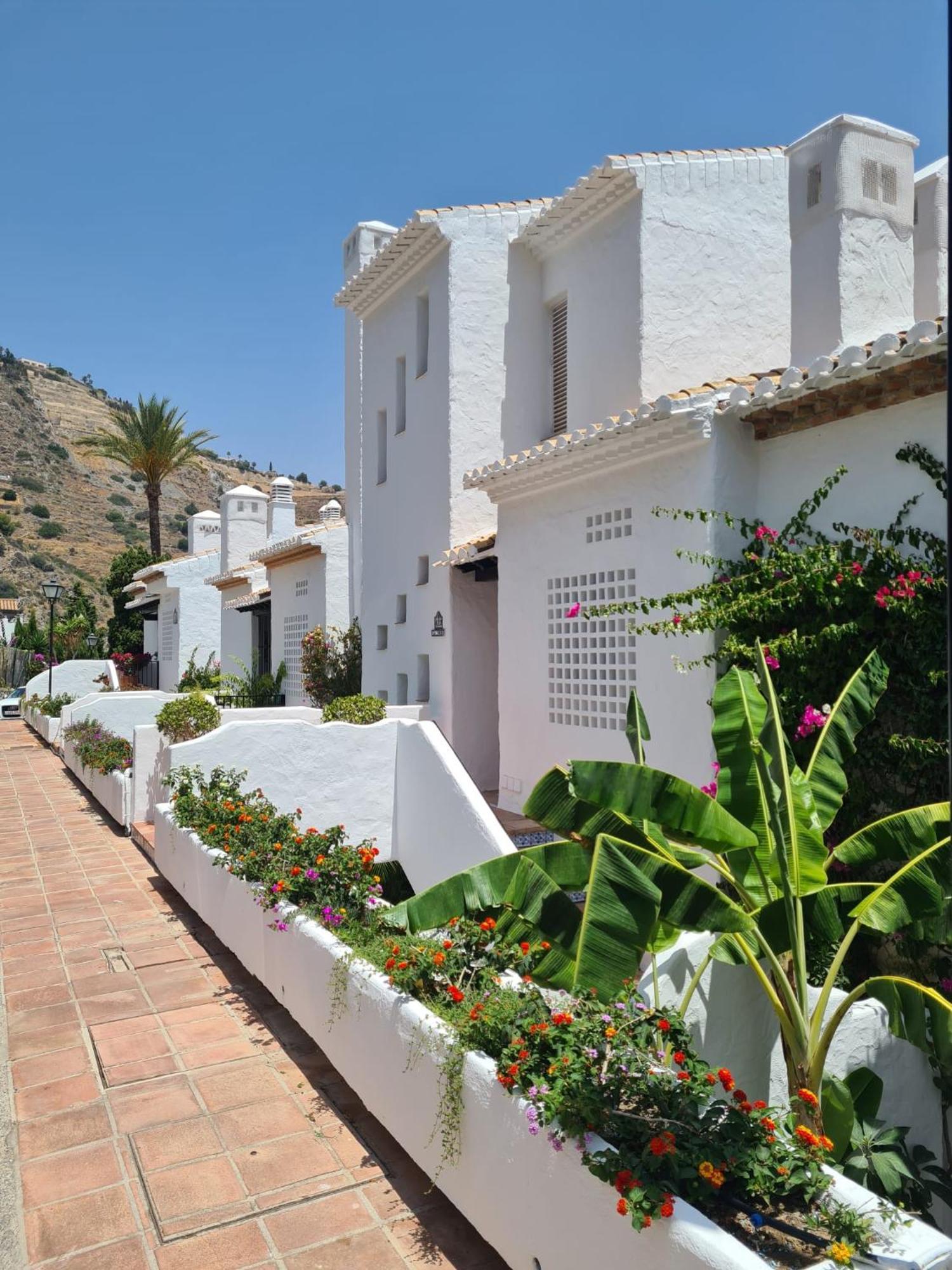Sunny Getaway Lejlighed La Herradura  Eksteriør billede